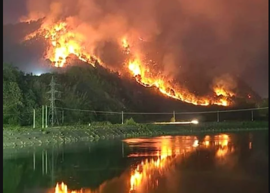 Valea Oltului, în flăcări
