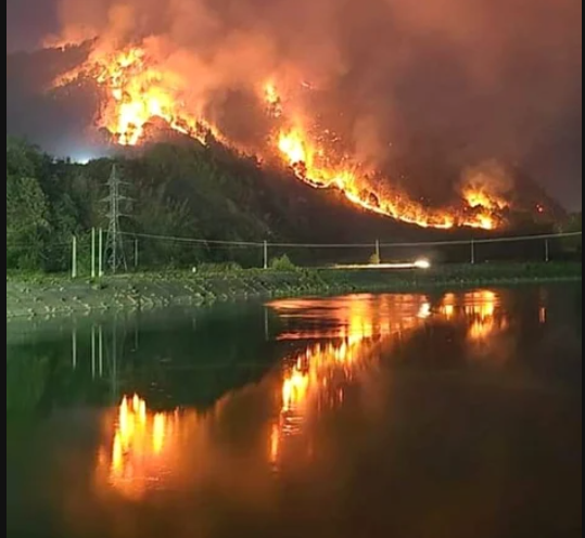Valea Oltului, în flăcări