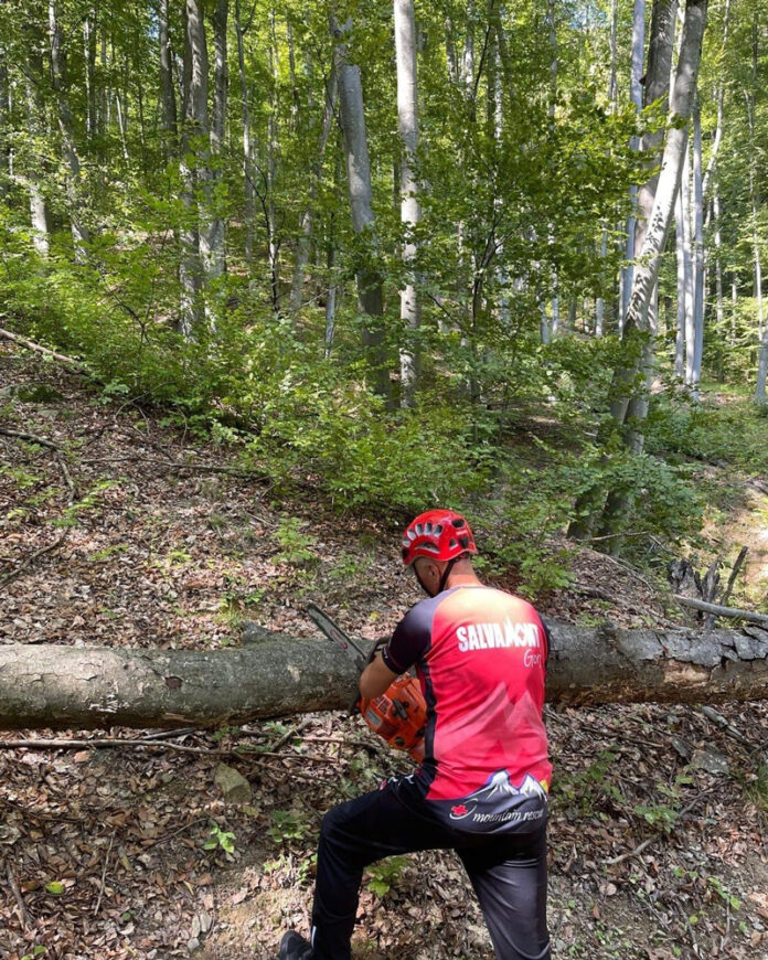 008264d8-643d-4031-973b-b246d6df9c86