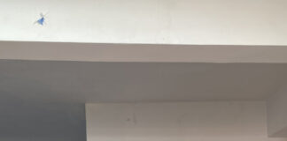 Membrele AFG au oferit daruri beneficiarilor CÎA Dobrița