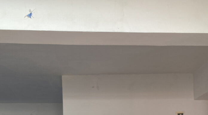 Membrele AFG au oferit daruri beneficiarilor CÎA Dobrița