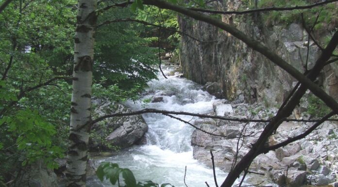 Astenii de toamnă – Pe „drumul de sub munte” spre Cantonul Bâlții