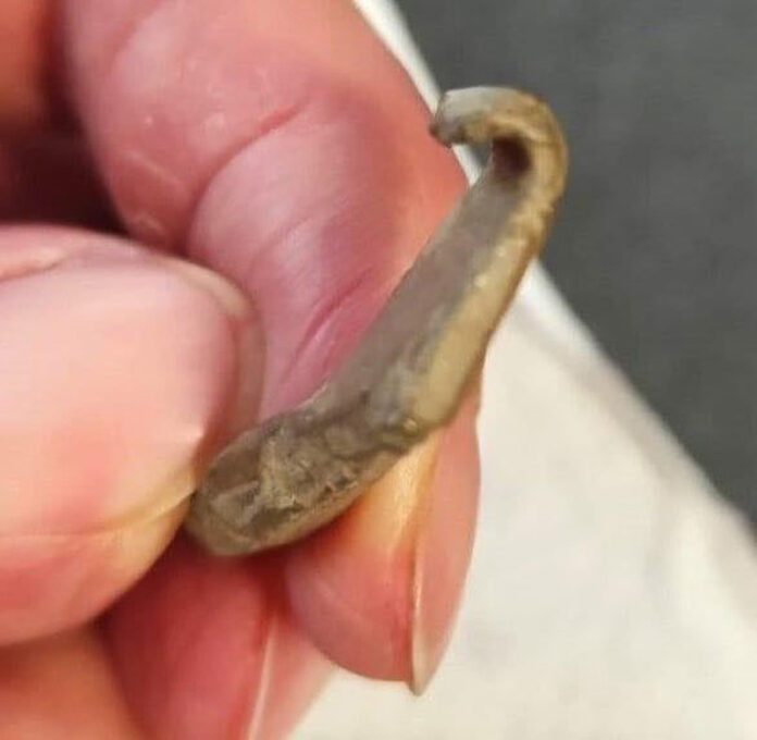 445b17b5-d9d4-4597-aabb-b000d69cd954