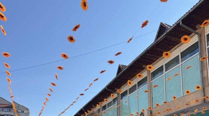 Ziua Recoltei, sărbătorită la Târgu Jiu – FOTO