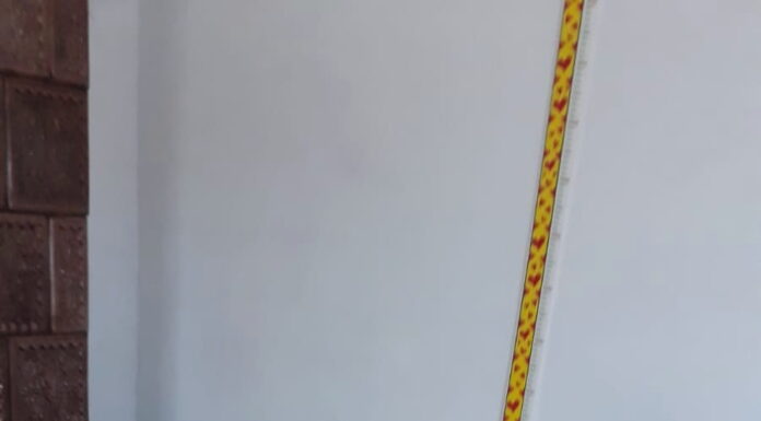 Ecografii gratuite într-o comună din Gorj