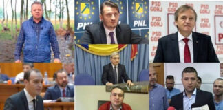 Senatorul de Gorj, Ion Iordache, și-a trecut în CV doar numărul de contact al unei reprezentante PNL