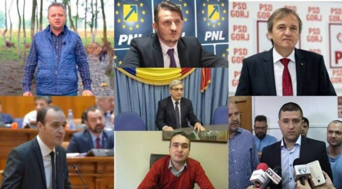 Senatorul de Gorj, Ion Iordache, și-a trecut în CV doar numărul de contact al unei reprezentante PNL