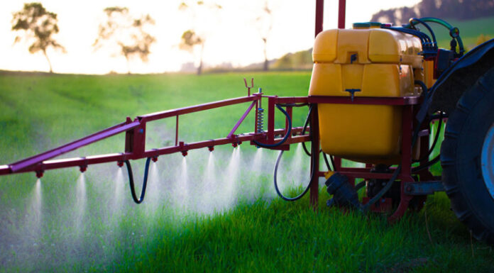 Agricultura pe înțelesul tuturor – Păstrarea și folosirea corectă a pesticidelor