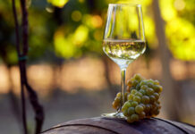 Agricultura pe înțelesul tuturor – Cupajarea și egalizarea vinurilor