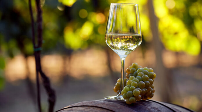 Agricultura pe înțelesul tuturor – Cupajarea și egalizarea vinurilor