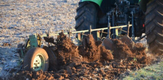 Agricultura pe înțelesul tuturor – Faceți-vă un mare bine, arați terenul toamna (2)