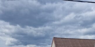 Bâlteni: Târgul săptămânal de la Peșteana nu se închide