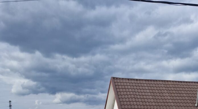 Bâlteni: Târgul săptămânal de la Peșteana nu se închide