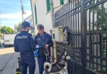 Gorj: 78 de dosare penale întocmite în domeniul protecției animalelor