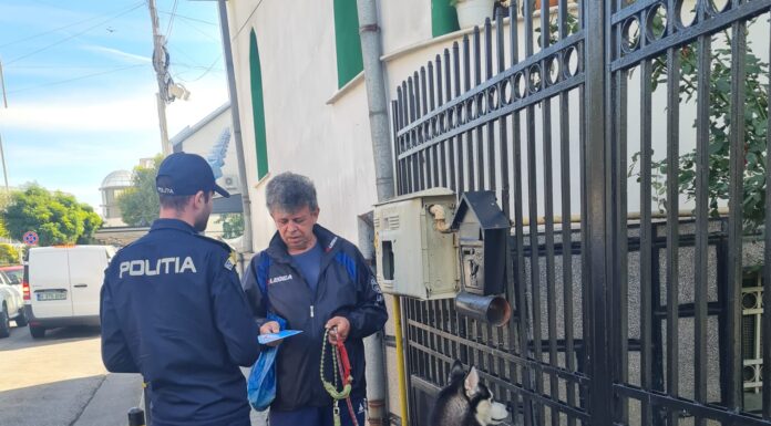 Gorj: 78 de dosare penale întocmite în domeniul protecției animalelor