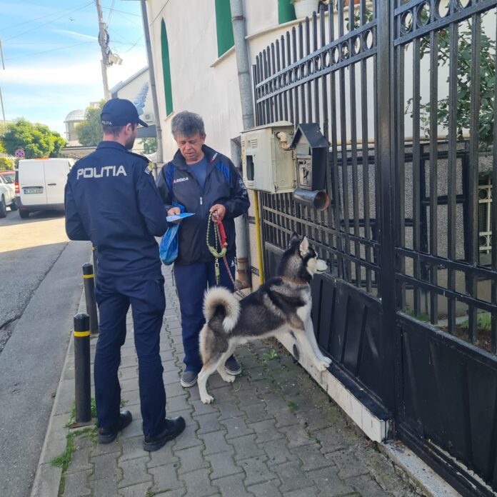 Gorj: 78 de dosare penale întocmite în domeniul protecției animalelor