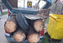 Dosar penal după ce a comis mai multe infracțiuni