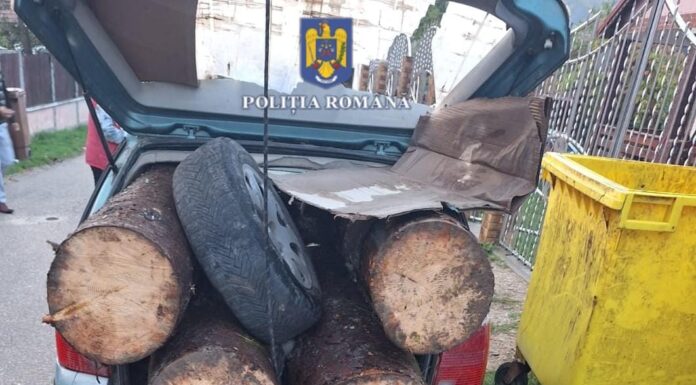 Dosar penal după ce a comis mai multe infracțiuni