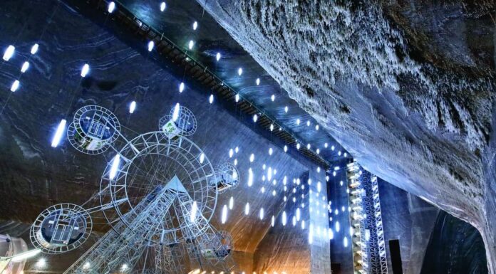 O expoziție de fotografie a CJCPCT Gorj, promovată de influencerul american Mr. Beast