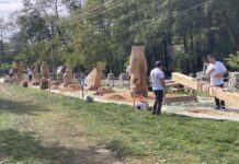 Sculptor cu drujba, gorjean prin adopție!