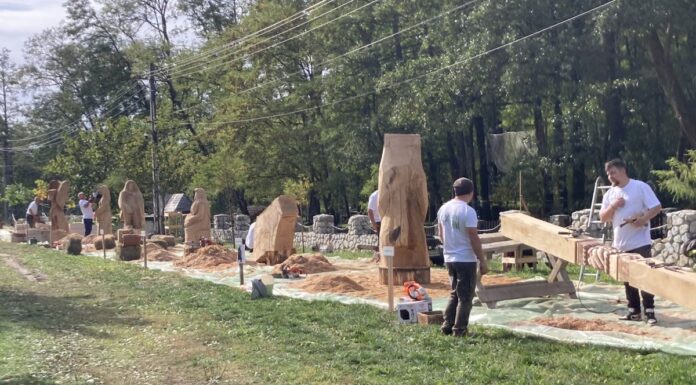 Sculptor cu drujba, gorjean prin adopție!