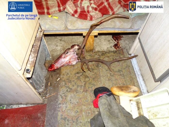 Braconaj de 24.000 de euro. Zece vânători, trimiși în judecată