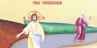 Viaţa Spirituală – Calea, Lumina, Adevărul şi Viaţa! – Dumnezeu sintetizează comportamentul declarat al omului în fața Cuvântului, deschiderea sau chiar lipsa de sensibilitate față de îndemnurile mântuitoare ale credinței!