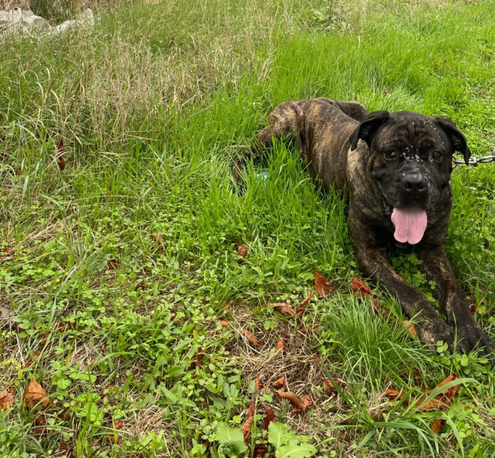 WhatsApp Image 2024-10-04 at 16.57.11