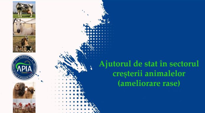Bani pentru crescătorii de animale
