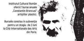 ICR a lansat apel de candidaturi pentru Bursele Brâncuşi