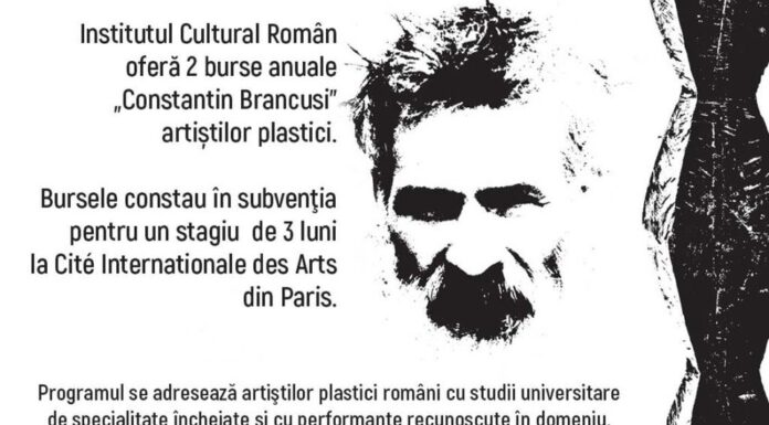 ICR a lansat apel de candidaturi pentru Bursele Brâncuşi
