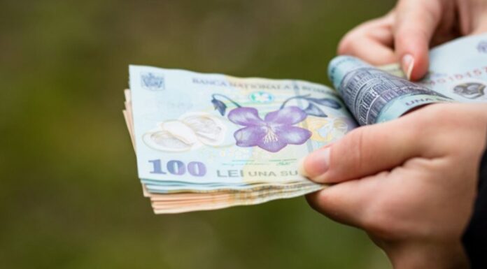 Cine va beneficia de indemnizaţia de solidaritate