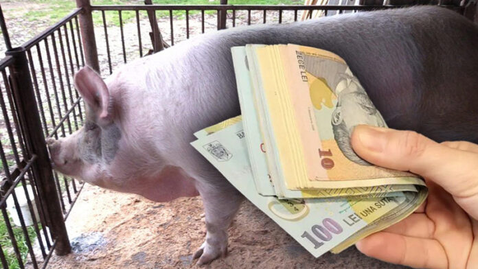 bani-porci-ppa