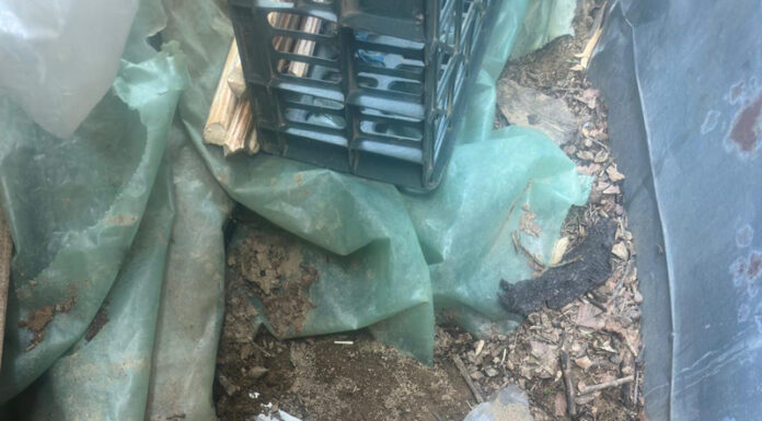 Patru ani de pușcărie pentru că și-a înjunghiat soțul