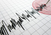 Cutremur de 3,9 în Vrancea