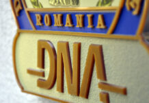 DNA a cerut documente despre partidul lui Șoșoacă