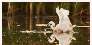 Expoziție de fotografie, la CJCPCT Gorj
