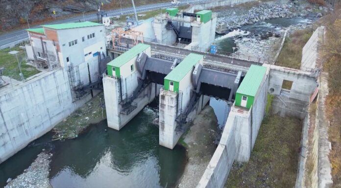 Burduja: Suntem sub asediul unor ONG-uri bine finanțate!