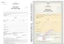 Diplome de studii cu cod QR