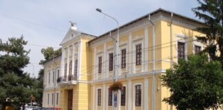SIMPOZIONUL NAȚIONAL ,,Muzeul Județean al Gorjului – 130 de ani de la întemeiere 1894-2024″, în aceste zile, la Târgu Jiu