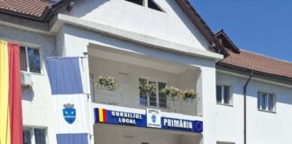 Rovinari: Post de referent la Serviciul Iluminat Public, scos la concurs