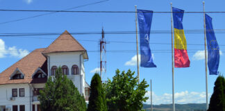 Mandatele primarilor din Turceni, Urdari și Bălești, validate de instanță