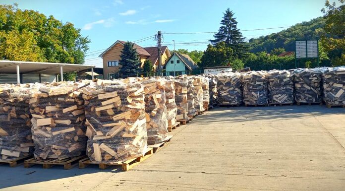 Romsilva scoate la vânzare lemne de foc pentru populație