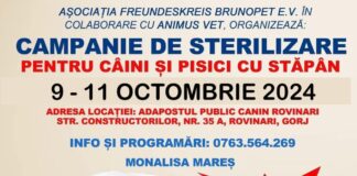 Campanie de sterilizare a patrupedelor, la Rovinari