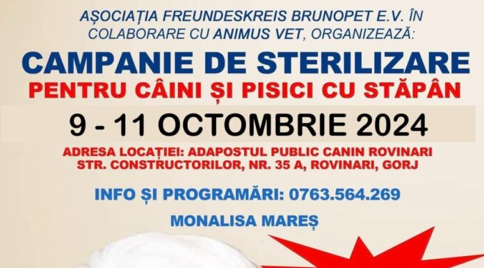 Campanie de sterilizare a patrupedelor, la Rovinari