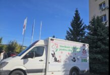 Campanie de sterilizare gratuită a câinilor și pisicilor!