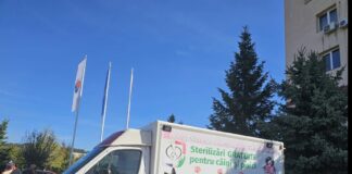 Campanie de sterilizare gratuită a câinilor și pisicilor!