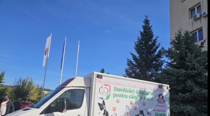 Campanie de sterilizare gratuită a câinilor și pisicilor!