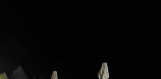 Tabără pentru 40 de copii și tineri din sistemul de protecție al DGASPC Gorj