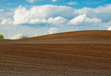 MADR demarează plățile în avans din 16 octombrie